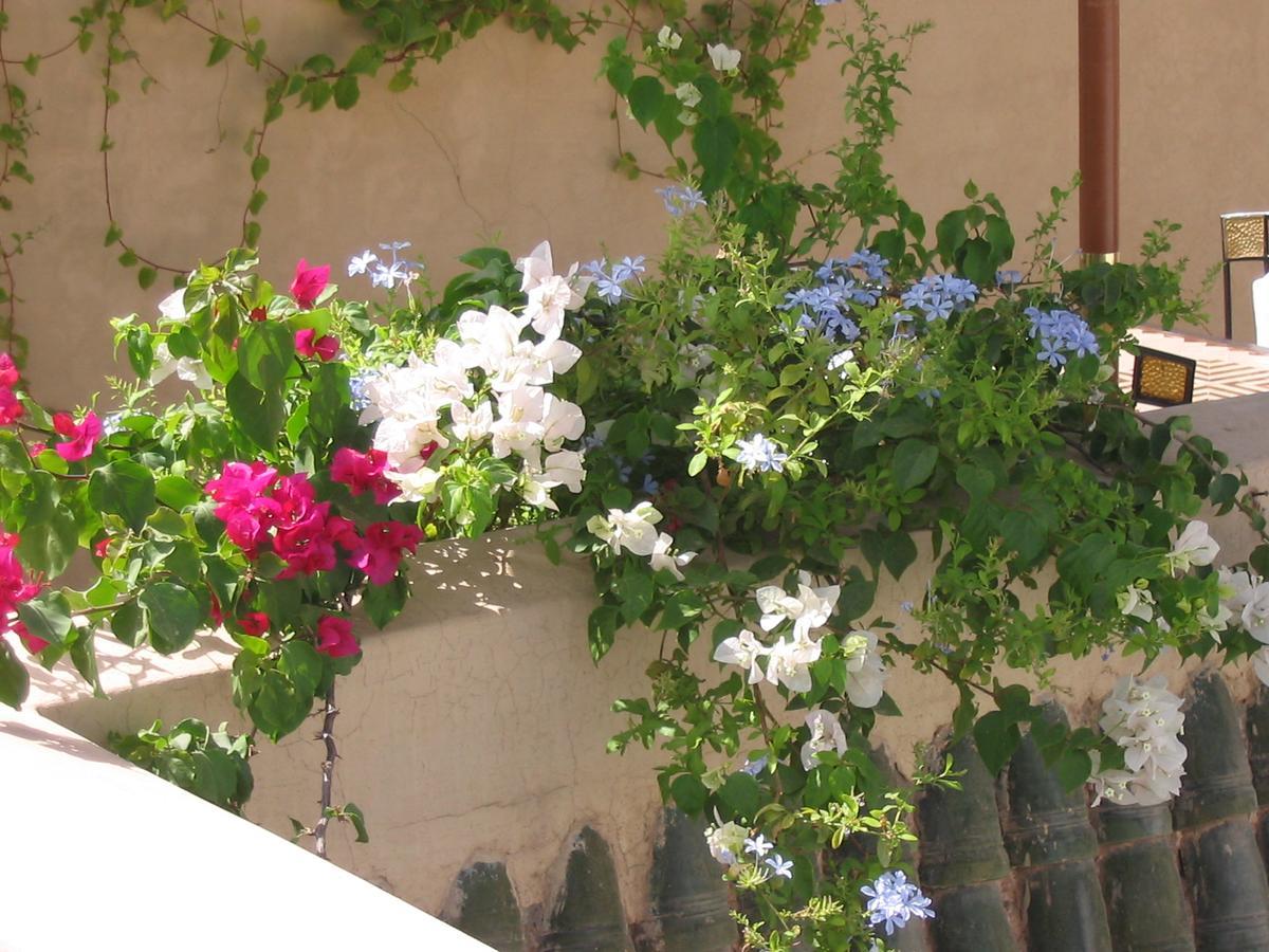 מרקש Riad Azzar מראה חיצוני תמונה